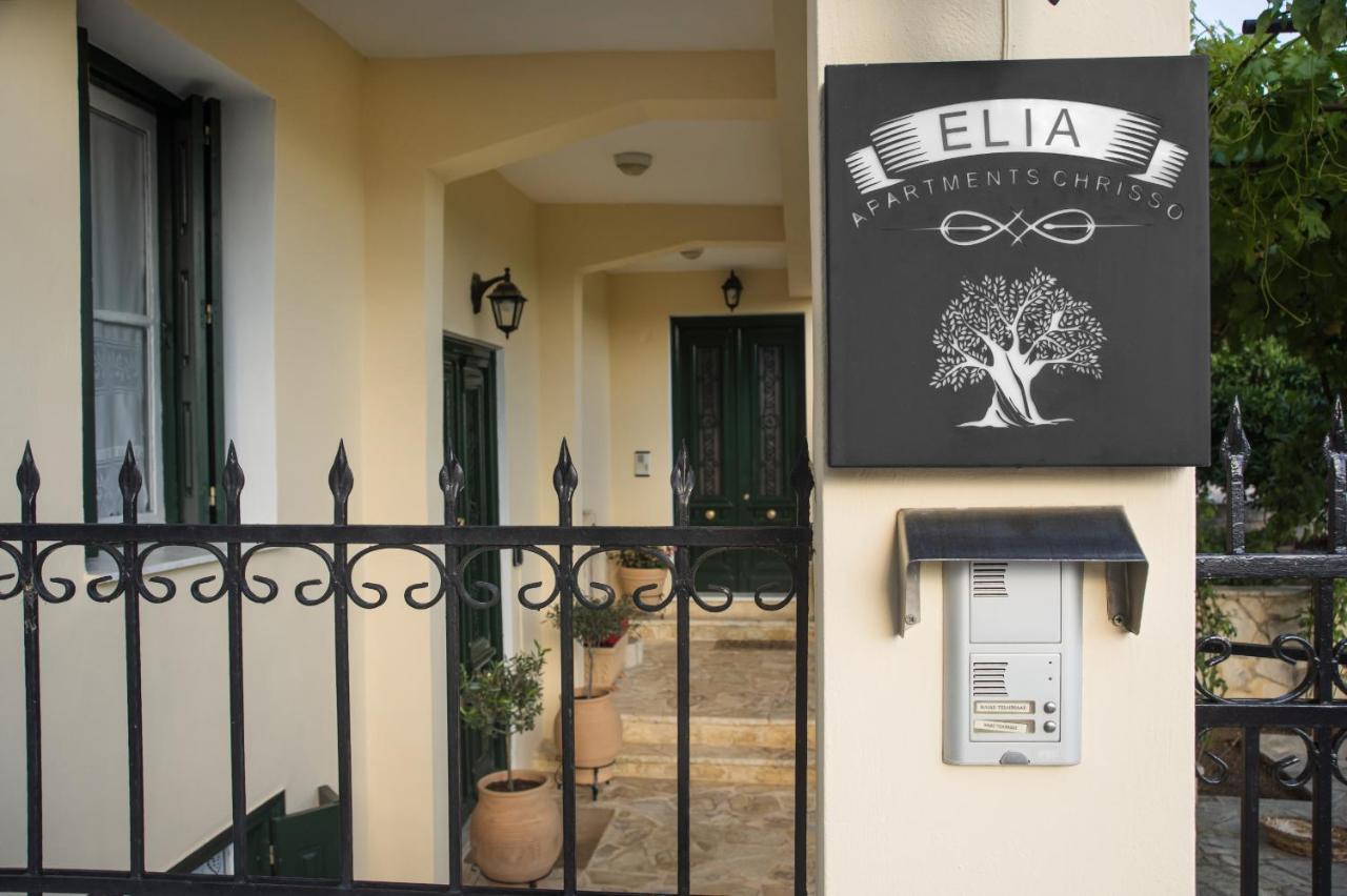 Elia Apartments Chrisso Delphes Extérieur photo